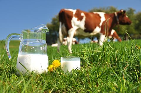 Jug,Of,Milk,Against,Herd,Of,Cows.,Emmental,Region,,Switzerland