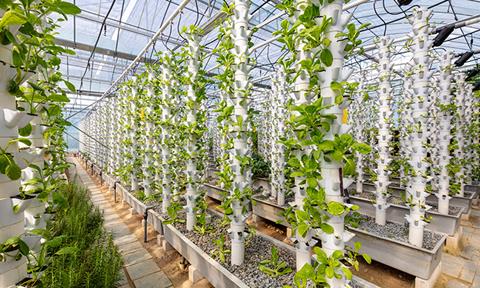 shutterstock_2254568207