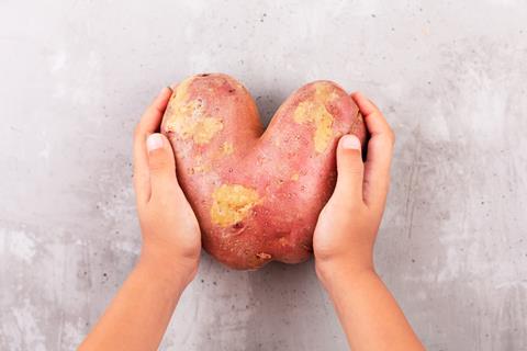Ugly,Potato,In,The,Heart,Shape,On,A,Gray,Background.