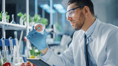Male,Microbiologist,Working,In,Labolatory,And,Examining,A,Lab-grown,Vegan