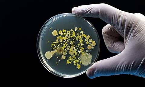 shutterstock_2238868725