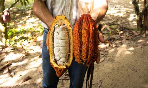 shutterstock_1530984890