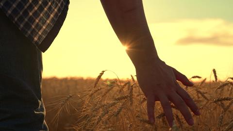 Concept,Of,Selling,And,Buying,Grain,,Food,Crisis.,Food,Security