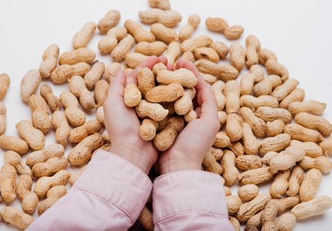 Close,Up,,Peanut,In,The,Hands,Of,A,Child,Isolated
