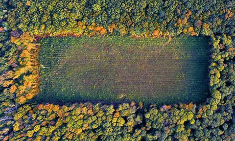 shutterstock_2265566723