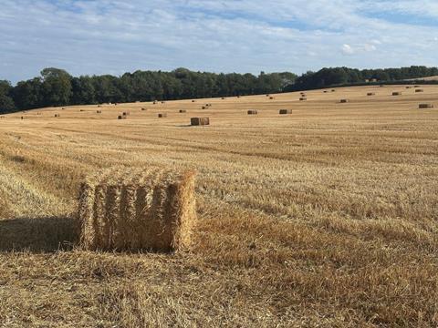 Drought-ridden farm field