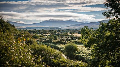 diageo-pledges-up-to-5m-to-restore-scotlands-peatlands-content-img