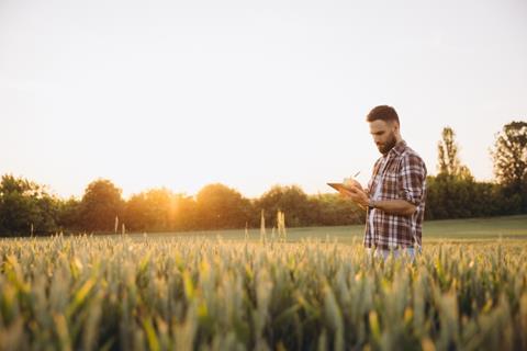 Bearded,Agronomist,Writing,Notes,On,A,Tablet,While,Closely,Inspecting