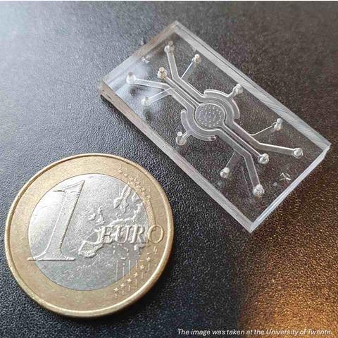 NIZO_UT_GutBrainOnChip_Note_rs