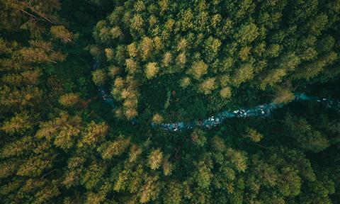 shutterstock_2286071663