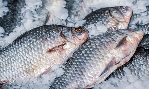 shutterstock_2171978259