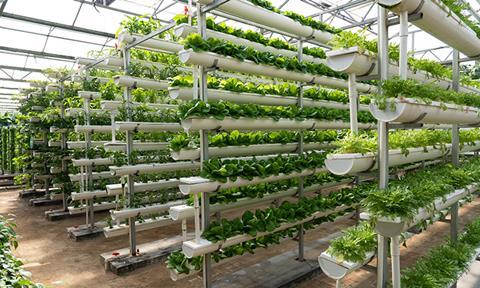 shutterstock_2464661741