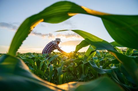 ofi expands traceability as 200,000 households achieve living income