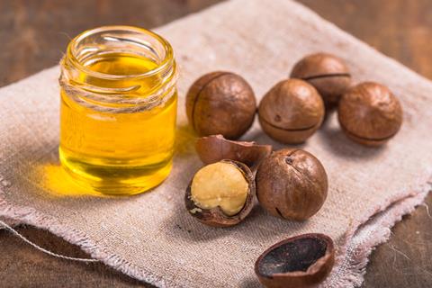 Ripe,Macadamia,Nuts,And,A,Glass,Bottle,With,Natural,Oil