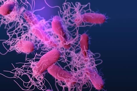Medical illustration of drug-resistant, non-typhoidal Salmonella bacteria.