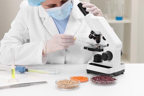 Quality,Control.,Food,Inspector,Examining,Wheat,Grain,Under,Microscope,In