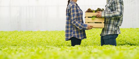 Farmer,Harvest,Farm,Products,And,Fresh,Vegetables,In,Hydroponic,Organic