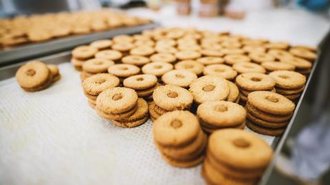 Biscuits on a manufacturing conveyor belt.