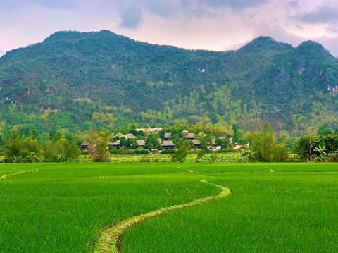 Rice fields in Mai Chau, Viet Nam.