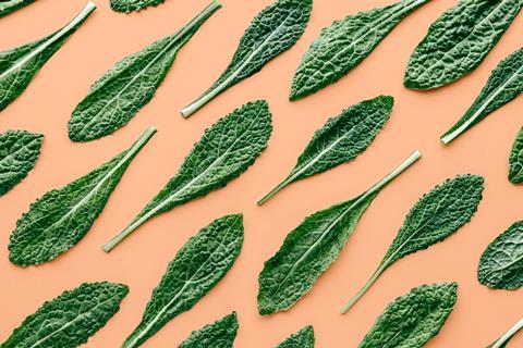 Fresh,Organic,Green,Kale,Leaves,Pattern,On,A,Pastel,Peach