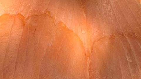 Closeup image of smoked fish.
