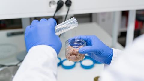 Low-Res_Chalmers_tuna_pressrelease_250129_12 banner