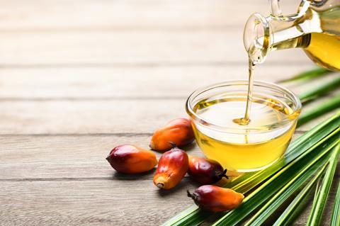 Pouring,Palm,Oil,Into,Glass,Bowl,With,Fresh,Palm,Nuts