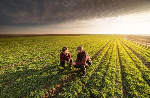 Young,Farmers,Examing,Planted,Young,Wheat,During,Winter,Season