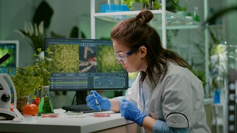 Chemist,Injecting,Vegan,Beef,Meat,With,Protein,Using,Medical,Syringe