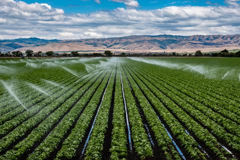 A,Field,Irrigation,Sprinkler,System,Waters,Rows,Of,Lettuce,Crops