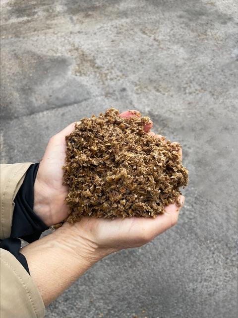 BSG foto Carlsberg Sverige