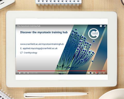 Hero - Whitepaper 600x480px (Landscape) asset 1