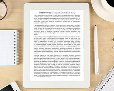 Hero - Whitepaper 600x480px Portrait)