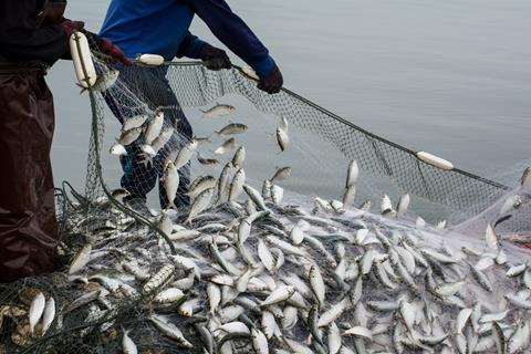 On,The,Fisherman,Boat,catching,A,Lot,Of,Fish