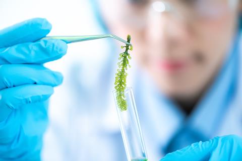 Biofuel,Research,Process,In,Laboratory,,Microalgae,Photobioreactor,For,Alternative,Energy