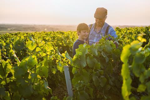 Two,Generations,Of,French,Winegrowers,In,Their,Vineyards,At,Sunset.