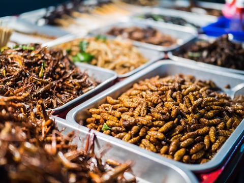 Fried,Insects,On,The,Streets,Of,Khao,San,Road,In