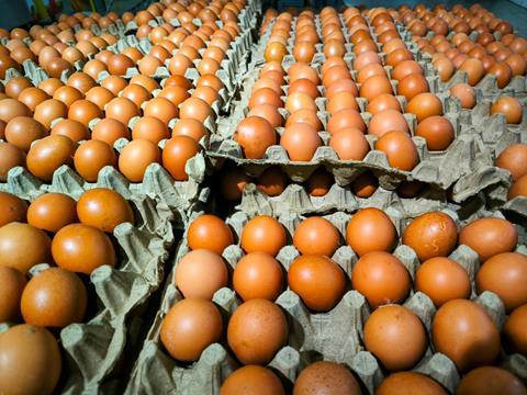 Fresh,Eggs,Neatly,Arranged,In,Carton,At,Supermarket.,Perfect,For