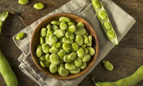 faba-beans