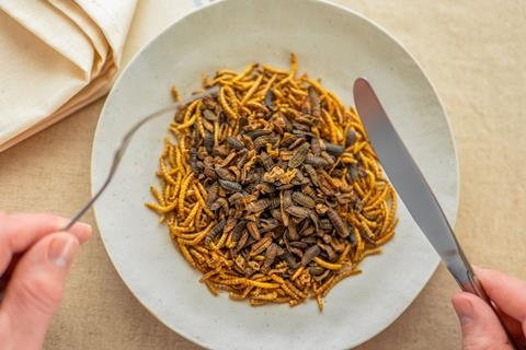 Edible,Insects.plate,Of,Crispy,Insects.insect,Food.alternative,Source,Of,Protein.worms,And