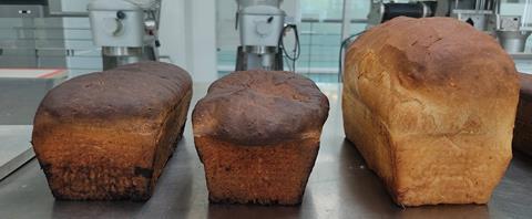 Tecnológico de Monterrey - Bread - 1