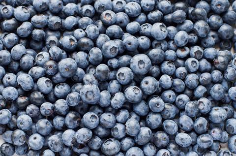 Fresh,Blueberry,Background,Texture.,Close,Up.